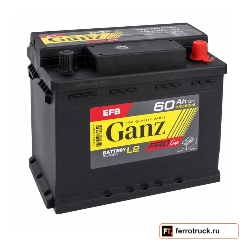 Аккумулятор GANZ PRO-Line EFB G3040600, 60 А·ч, 640 А EN — фото 1