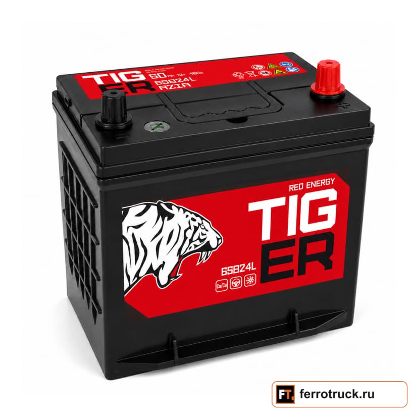 Аккумулятор TIGER Red Energy 65B24L, 50 А·ч, 460 А — фото 1