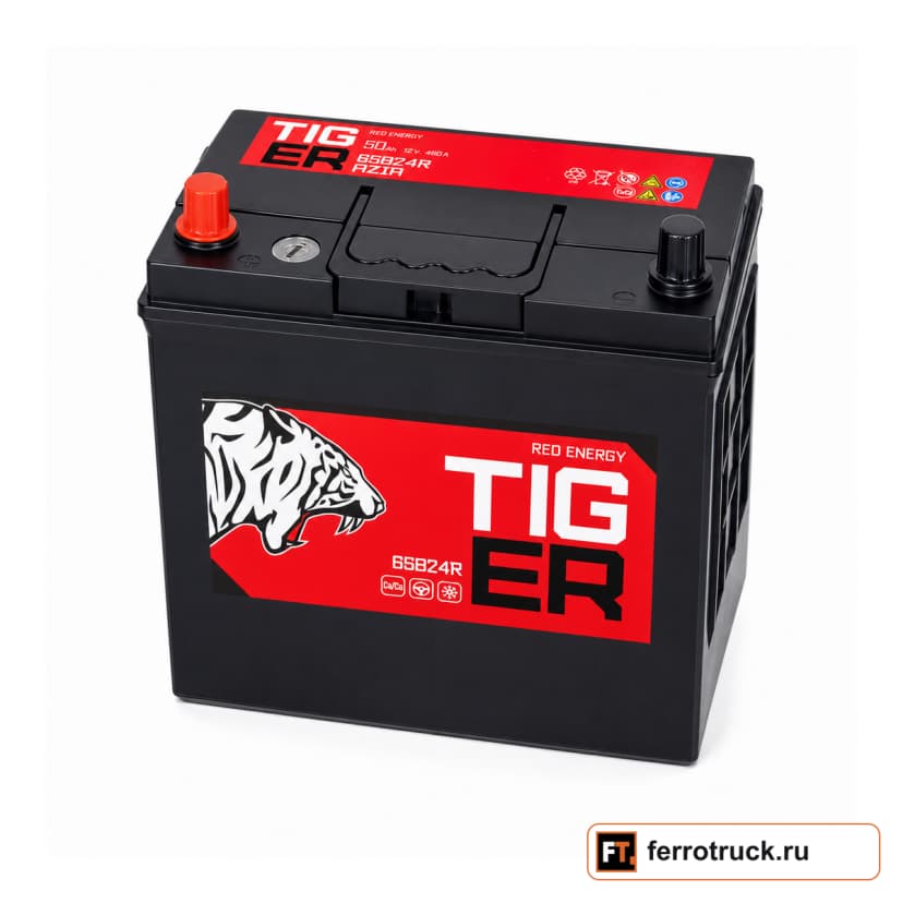 Аккумулятор TIGER Red Energy 65B24R, 50 А·ч, 460 А — фото 1