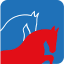 Колодки тормозные дисковые передние Double Force — фото 1